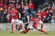 Un derby électrique, mais pas de vainqueur ! - Débrief et NOTES des joueurs (Nîmes 1-1 MHSC)
