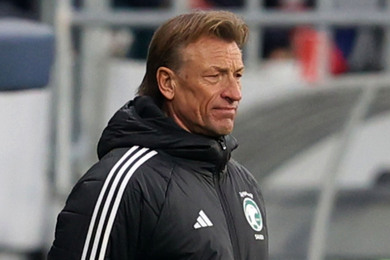 Arabie Saoudite : Renard tombe de haut