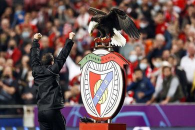 Mercato : le nouveau roi du marché, c'est Benfica !