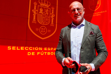 Espagne : la Roja change de slectionneur !