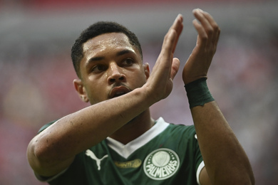 Palmeiras : 